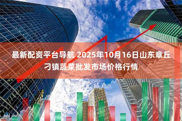 最新配资平台导航 2025年10月16日山东章丘刁镇蔬菜批发市场价格行情